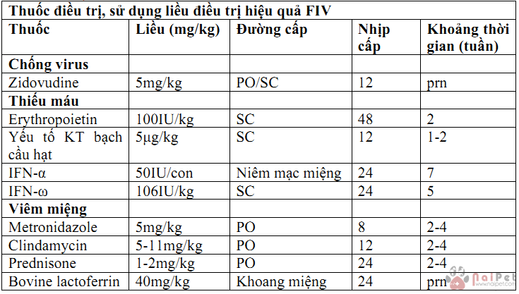 virus-gay-suy-giam-mien-dich-tren-meo-3