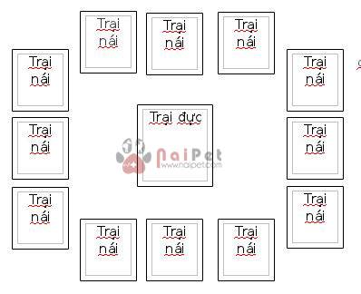 anh-huong-pcv-2-den-ttnt-va-chat-luong-tinh-trung 3