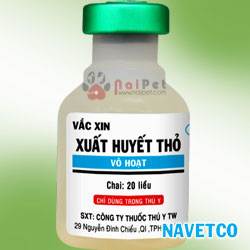 benh-xuat-huyet-truyen-nhiem-o-tho-rabbit-hemorrhagic-disease-rhd 4