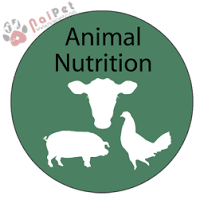 dinh-duong-trong-chan-nuoi-heo