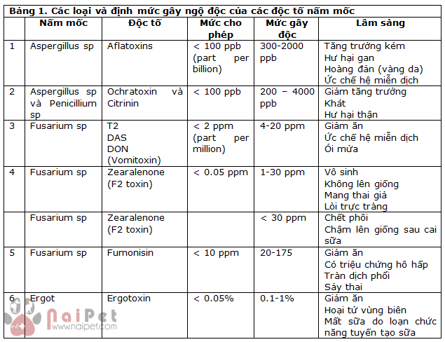 doc-to-nam-moc-can-duoc-ngan-chan-tai-nguon 4