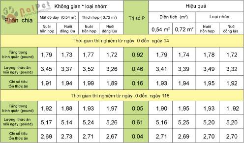 mat-do-nuoi-lam-anh-huong-den-nang-suat-heo-thit