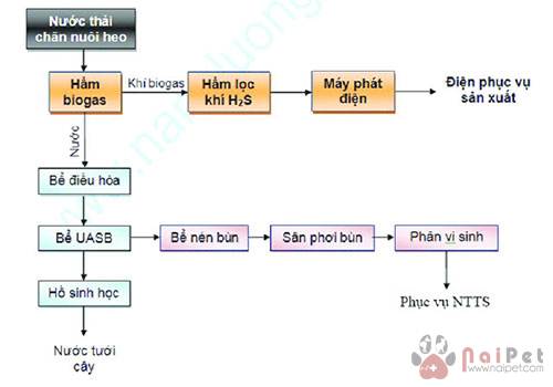 nuoi-ca-nuoc-ngot-tu-ba-thai-ham-biogas 1