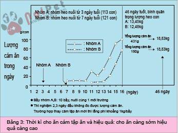 phuong-phap-cho-heo-con-an-cam-tap-an 1