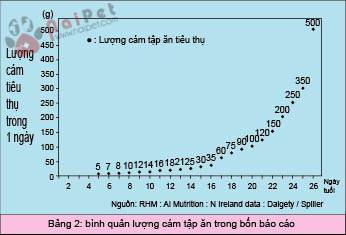 phuong-phap-cho-heo-con-an-cam-tap-an 2