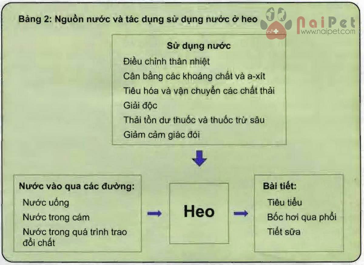 quan_ly_viec_cap_nuoc_cho_heo_2