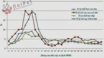 su-tuong-tac-benh-prrs-va-pvc2-trong-trai-heo 6