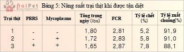 tao-khu-vuc-an-toan-prrs-cho-trai 4