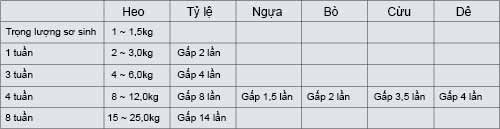 tap-tinh-va-sinh-ly-cua-heo-habits-and-physiology-of-hog 1