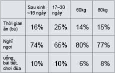 tap-tinh-va-sinh-ly-cua-heo-habits-and-physiology-of-hog 2