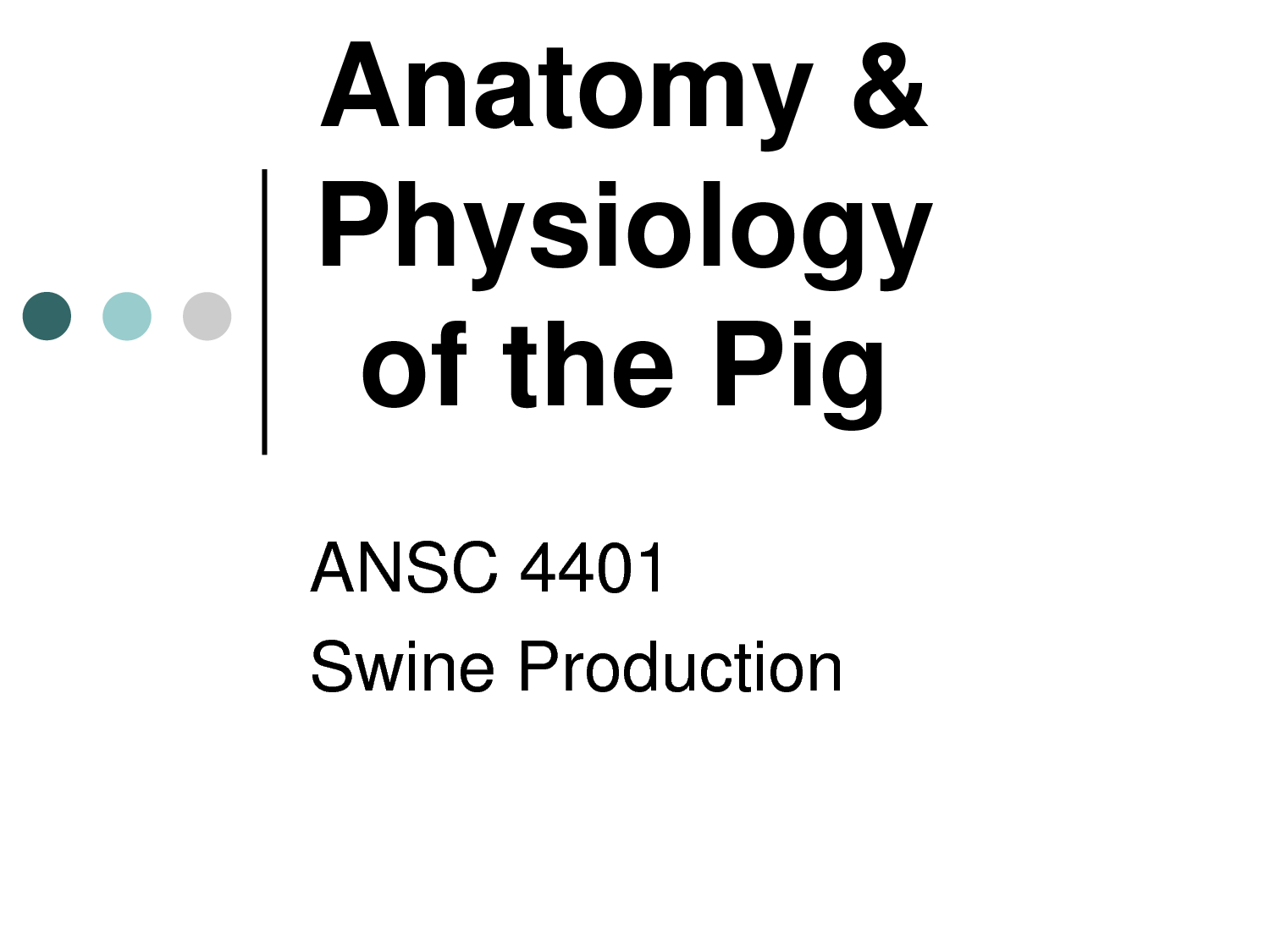 tap-tinh-va-sinh-ly-cua-heo-habits-and-physiology-of-hog
