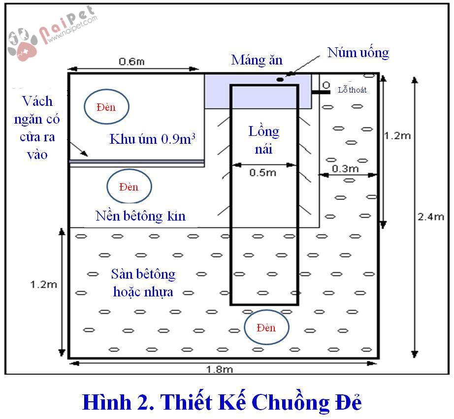 thiet-ke-nha-va-chuong-heo-nai-de 1