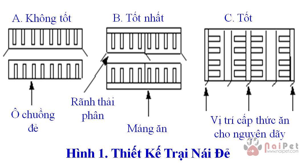 thiet-ke-nha-va-chuong-heo-nai-de