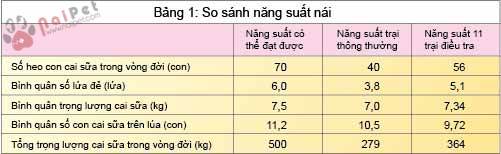 ty-le-thay-nai-va-tam-quan-trong-cua-heo-hau-bi 2